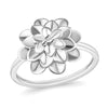 10K White Gold