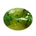 AAAA Sapo Tourmaline (Ovl Free Size) 1.00 ctw - Sticky add to cart bar