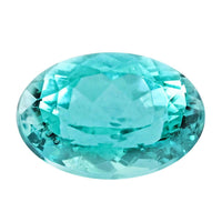 Certified and Appraised AAAA Paraiba Tourmaline (Ovl Free Size) 1.15 ctw