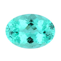Certified & Appraised AAAA Paraiba Tourmaline (Ovl Free Size) 0.75 ctw