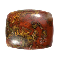 Slice Agate (Cush 12x10 mm) 3.80 ctw Loose Gemstone