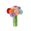 Marrigold Flower
