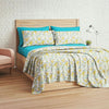 Yellow & Blue