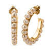 Golden Shell Pearl