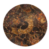 Ammonite Plate 8 Inch To 9 Inch 4082ctw