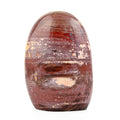 Petrified Wood Freeform -Medium 1747ctw - Sticky add to cart bar