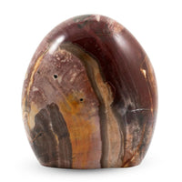 Petrified Wood Freeform -Large 4989ctw