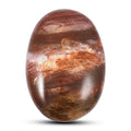 Petrified Wood Gallet -Small 532ctw - Sticky add to cart bar