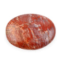 Petrified Wood Gallet -Medium 730ctw - Sticky add to cart bar