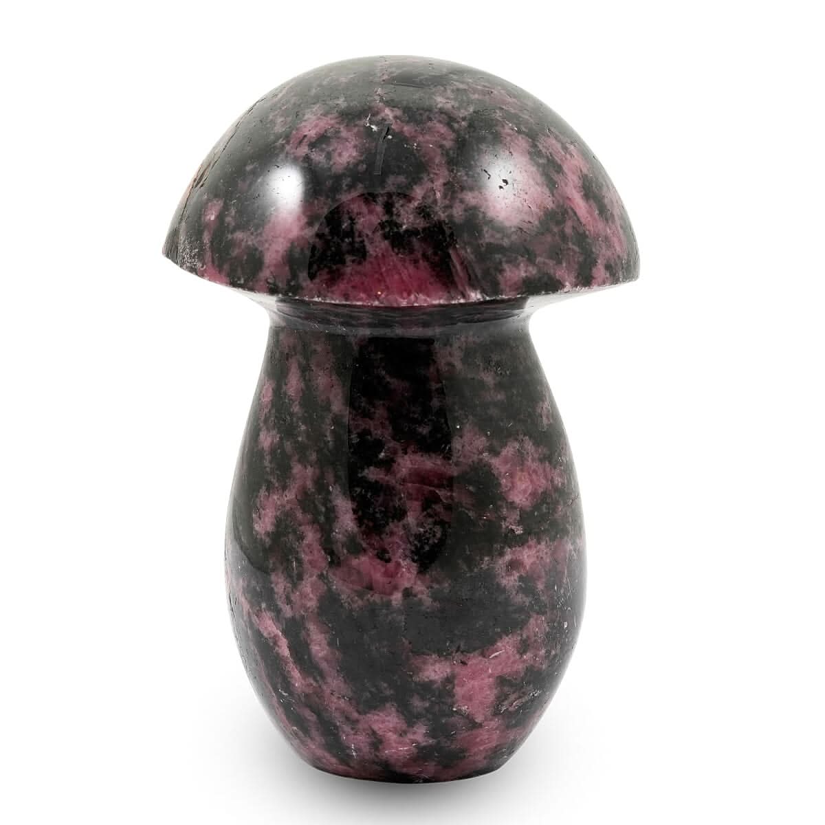 Rhodonite Mushroom -Medium 937ctw