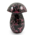 Rhodonite Mushroom -Medium 937ctw - Sticky add to cart bar