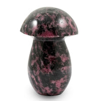 Rhodonite Mushroom -Medium 937ctw