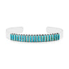 Kingman Turquoise