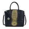 Navy & Golden