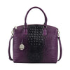 Purple & Black