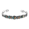 Spiny Turquoise