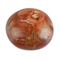 Petrified Wood Palm Stone -M Approx. 625ctw - Sticky add to cart bar